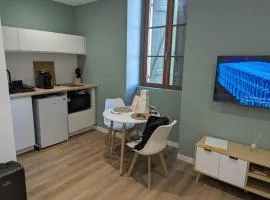 Le Camélia Studio Neuf Centre Dax