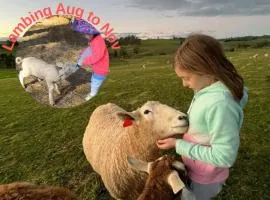 JillyPark Farmstay Experience Discover Authentic Farm Life Complimentary Breakfast Included