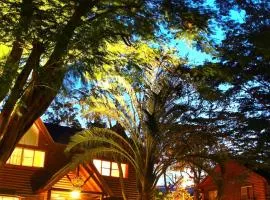 Master Bear Resort