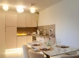 Appartement avec spa et sauna, centre historique Vierzon - FR-1-586-49