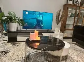 Cosy 2 bedroom Apartment, in Hilton