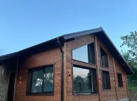 Horse Ranch with amazing mountainous views