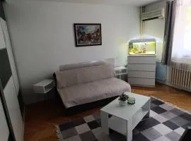 Petronas Apartment