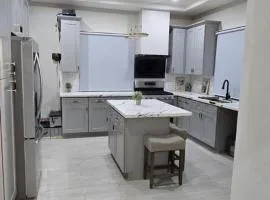 Jambanjelly a modern 4-bedroom house
