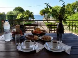 Villa Bella Loukisia Seafront 5BR Villa for 10 Near Athens