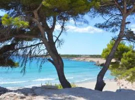 splendido