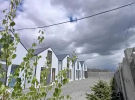 Naryn Barnhouses