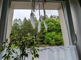 Apartmán s terasou REZIDENCE 300 Všemina, Hotel in Všemina