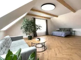 Attic room in Slavkov u Brno