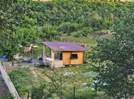 Villa Home