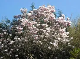 Idyllische Whng mitten in der Natur Haus Magnolia