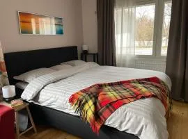 Cozy, conveniently located apartment in a 1950's wooden house
