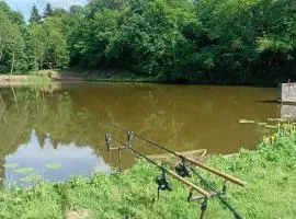 Carpfollies