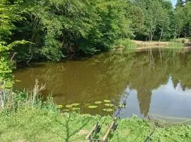 Carpfollies