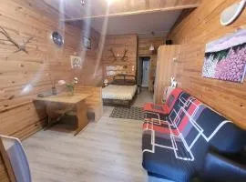 Appartement Pyrénées 2000