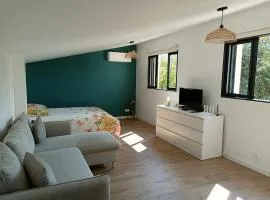 Logement entier - Clim - Parking Privé- 2-4 pers