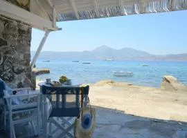 Seafis Boathouse Klima