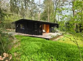 Finse Bungalow