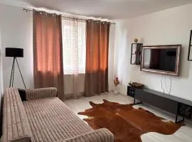 City Comfort Apartment