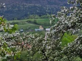 Chata pod Mogielicą - klimatyczny dom na wyłączność z ogrodem i widokiem na góry