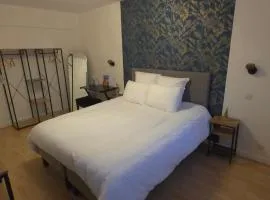 Grande chambre calme et confortable Centre Strasbourg Gare