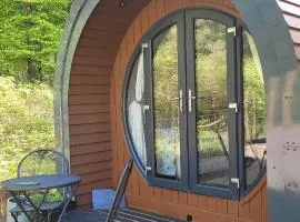 Squirrels Wood Lodge, nr Glencoe, dog friendly
