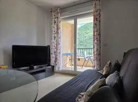 l'écrin des Naïades, Appartement T3 avec piscine