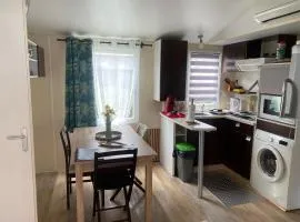 Mobil home 4-6 personnes bord de mer Argeles sur mer camping équinoxe