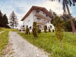 Casa dintre Brazi
