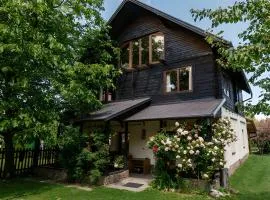 Silva Cabin Bran next to Dracula's Castle with free parking