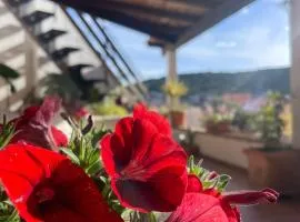 Arega Rooms