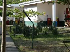 cabañas Paolone ac piscina