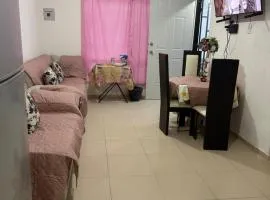 House 15 minutes from GDL Airport and VFG Arena