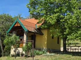 Koliba Topola - Fruška gora