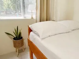 Downtown Hostel Jamaica