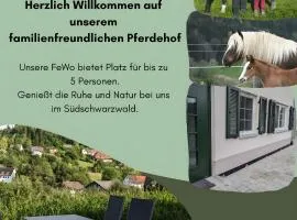 Fewo Schwarzwälder Blattert