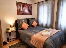 Modern Cozy Studio in Dresden