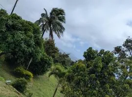 Mikes Villa