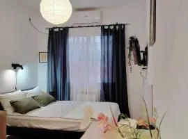 Studio5, sa parkingom, centar Obrenovca