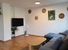 Bright Apartment with two Parking Spaces