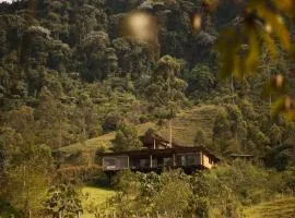 Chalet San Remo Ecolodge