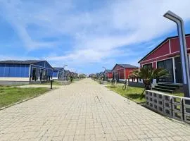 Udo79 Pension