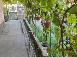 La mine acasă