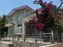 Vrishti Homestay
