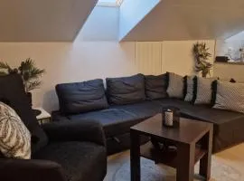 Cozy apartment Sofia