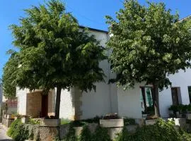 Oda Kuksit Hotel