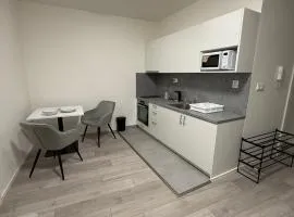 Apartmány Plzeň Centrum Veleslavínova