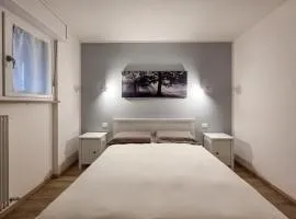 B&B Color Rovereto