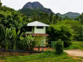 Forest edge Villa - 3 bedrooms