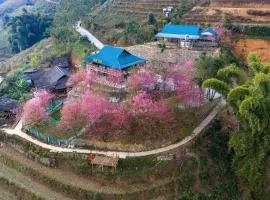 Nest hill retreat